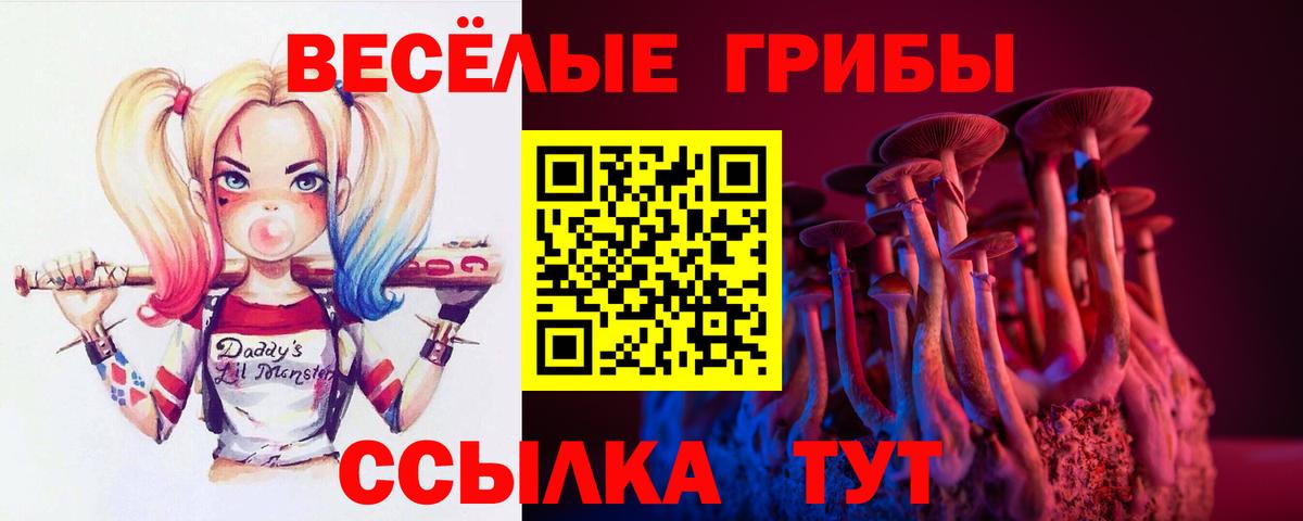 Керчь  Галлюциногенные грибы мицелий  Вход с VPN 