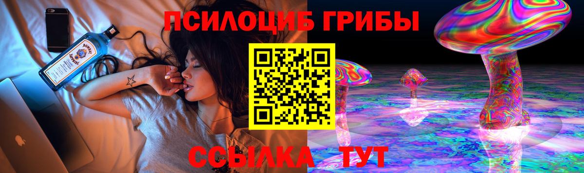 Псилоцибиновые грибы мицелий Керчь